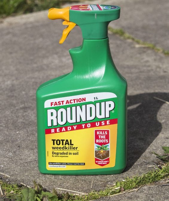 roundup causes cancer jury finds